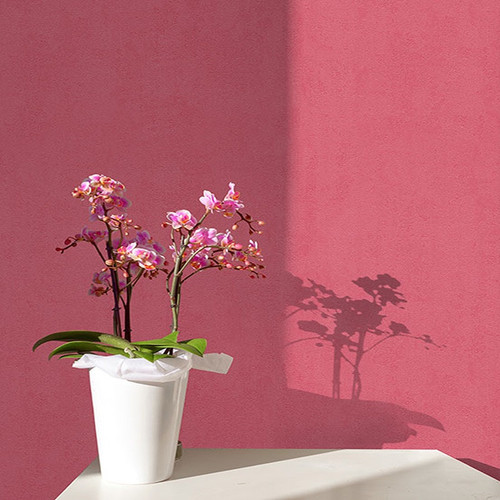 کاغذ دیواری مدل 201261